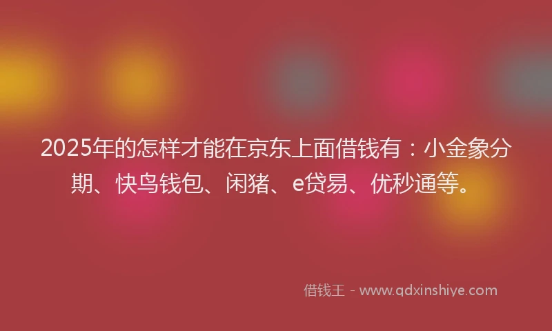 2025年的怎样才能在京东上面借钱有：小金象分期、快鸟钱包、闲猪、e贷易、优秒通等。