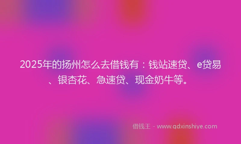 2025年的扬州怎么去借钱有：钱站速贷、e贷易、银杏花、急速贷、现金奶牛等。