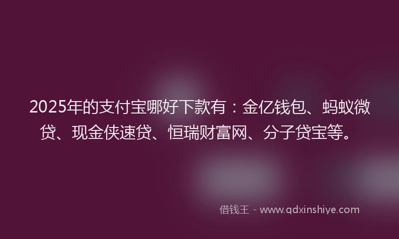 2025年的支付宝哪好下款有：金亿钱包、蚂蚁微贷、现金侠速贷、恒瑞财富网、分子贷宝等。