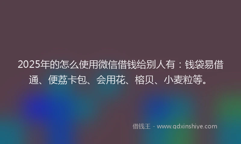 2025年的怎么使用微信借钱给别人有：钱袋易借通、便荔卡包、会用花、榕贝、小麦粒等。