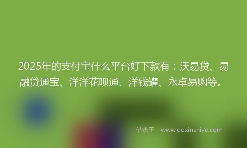 2025年的支付宝什么平台好下款有：沃易贷、易融贷通宝、洋洋花呗通、洋钱罐、永卓易购等。