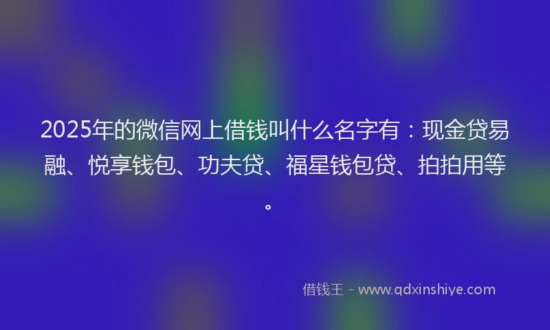 2025年的微信网上借钱叫什么名字有：现金贷易融、悦享钱包、功夫贷、福星钱包贷、拍拍用等。