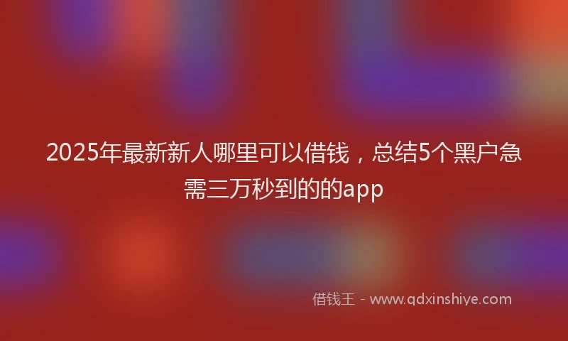 2025年最新新人哪里可以借钱，总结5个黑户急需三万秒到的的app