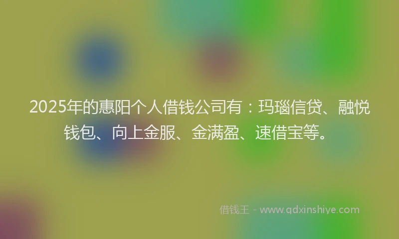 2025年的惠阳个人借钱公司有：玛瑙信贷、融悦钱包、向上金服、金满盈、速借宝等。