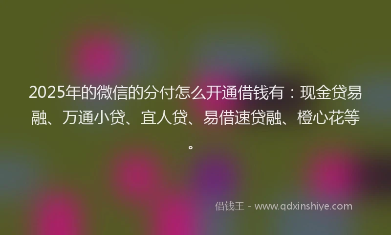 2025年的微信的分付怎么开通借钱有：现金贷易融、万通小贷、宜人贷、易借速贷融、橙心花等。