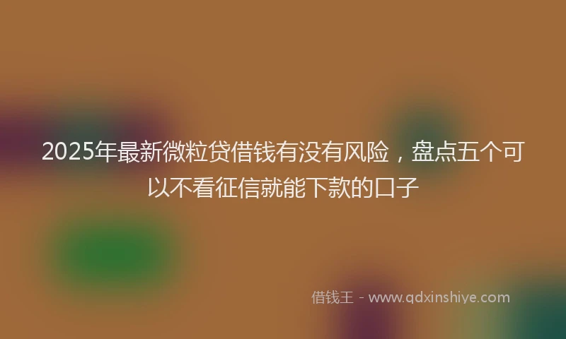 2025年最新微粒贷借钱有没有风险，盘点五个可以不看征信就能下款的口子