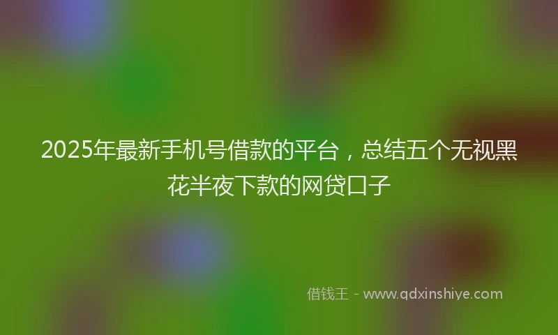 2025年最新手机号借款的平台，总结五个无视黑花半夜下款的网贷口子