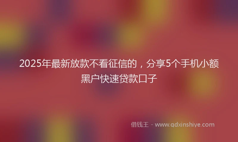 2025年最新放款不看征信的，分享5个手机小额黑户快速贷款口子