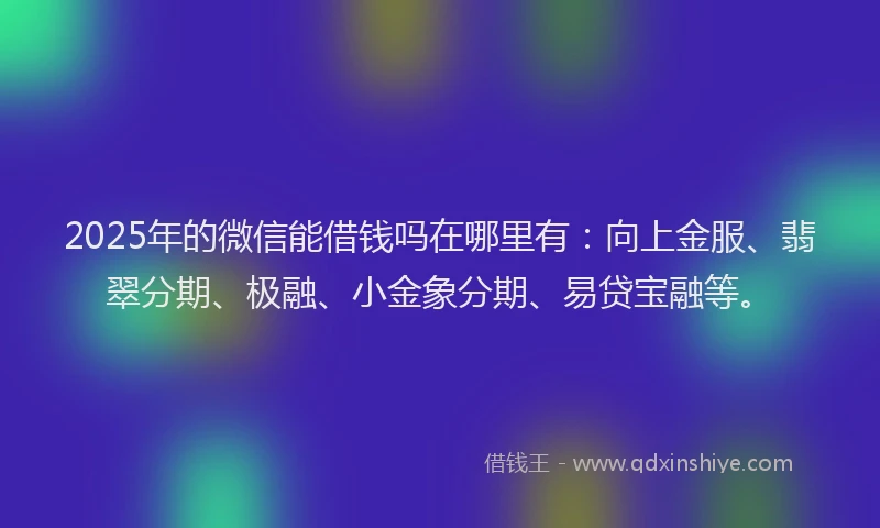 2025年的微信能借钱吗在哪里有：向上金服、翡翠分期、极融、小金象分期、易贷宝融等。