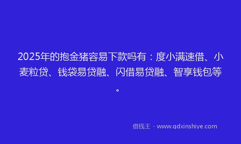 2025年的抱金猪容易下款吗有：度小满速借、小麦粒贷、钱袋易贷融、闪借易贷融、智享钱包等。