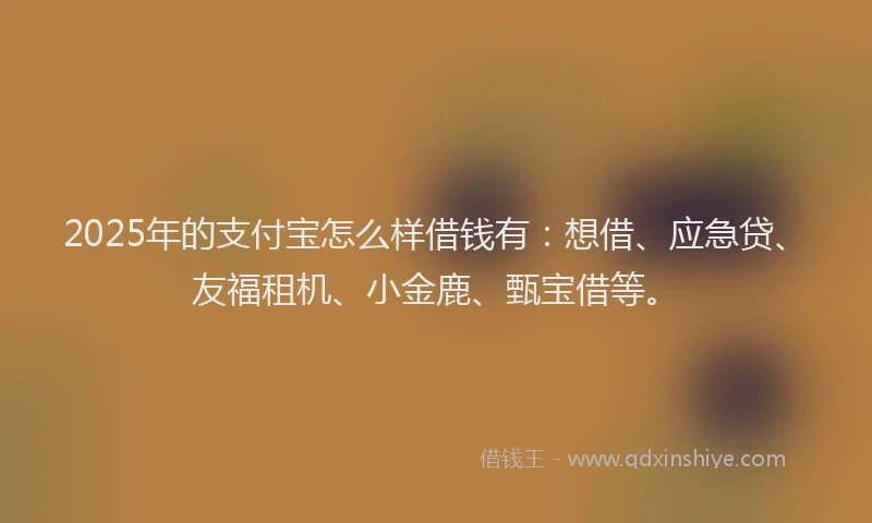 2025年的支付宝怎么样借钱有：想借、应急贷、友福租机、小金鹿、甄宝借等。
