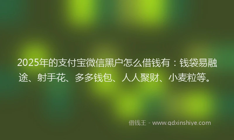 2025年的支付宝微信黑户怎么借钱有：钱袋易融途、射手花、多多钱包、人人聚财、小麦粒等。