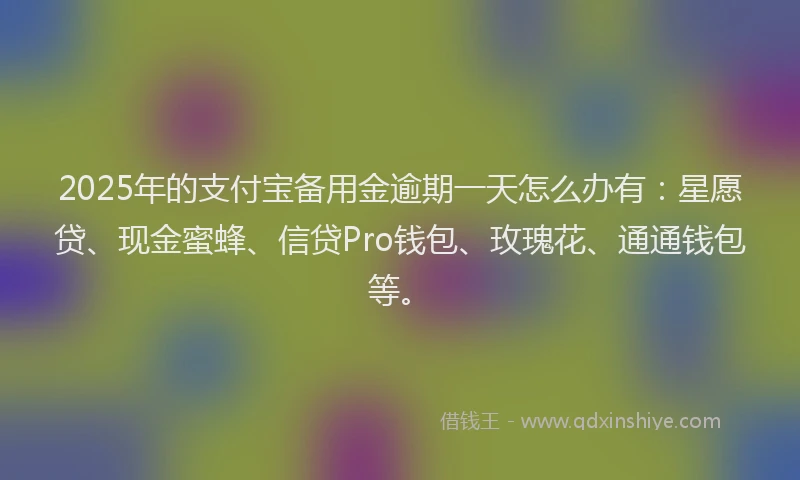 2025年的支付宝备用金逾期一天怎么办有：星愿贷、现金蜜蜂、信贷Pro钱包、玫瑰花、通通钱包等。
