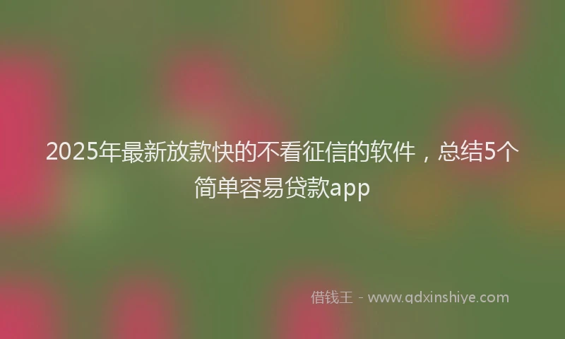2025年最新放款快的不看征信的软件，总结5个简单容易贷款app