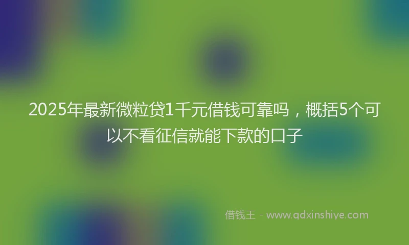 2025年最新微粒贷1千元借钱可靠吗，概括5个可以不看征信就能下款的口子