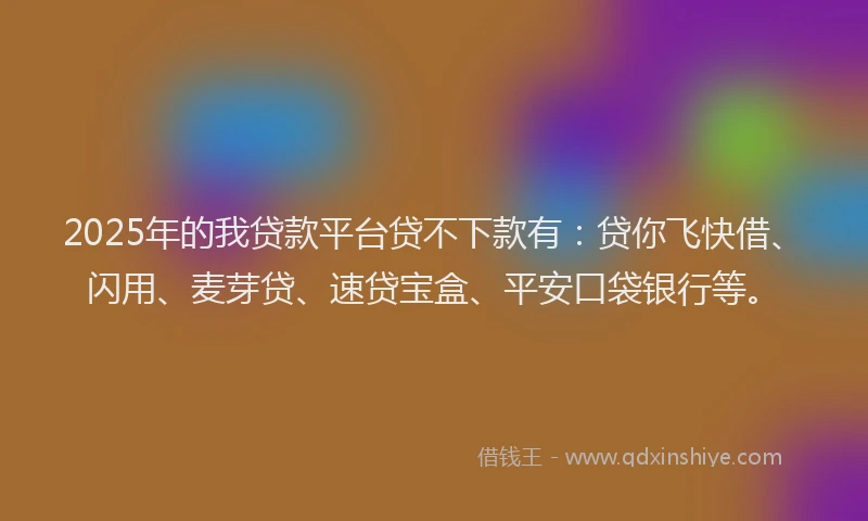 2025年的我贷款平台贷不下款有：贷你飞快借、闪用、麦芽贷、速贷宝盒、平安口袋银行等。