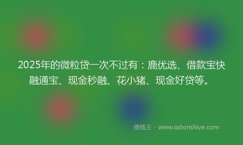 2025年的微粒贷一次不过有：鹿优选、借款宝快融通宝、现金秒融、花小猪、现金好贷等。