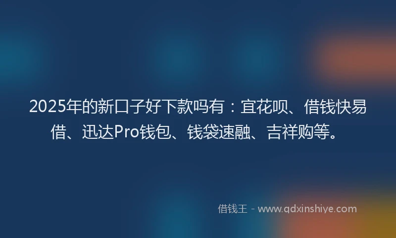 2025年的新口子好下款吗有：宜花呗、借钱快易借、迅达Pro钱包、钱袋速融、吉祥购等。