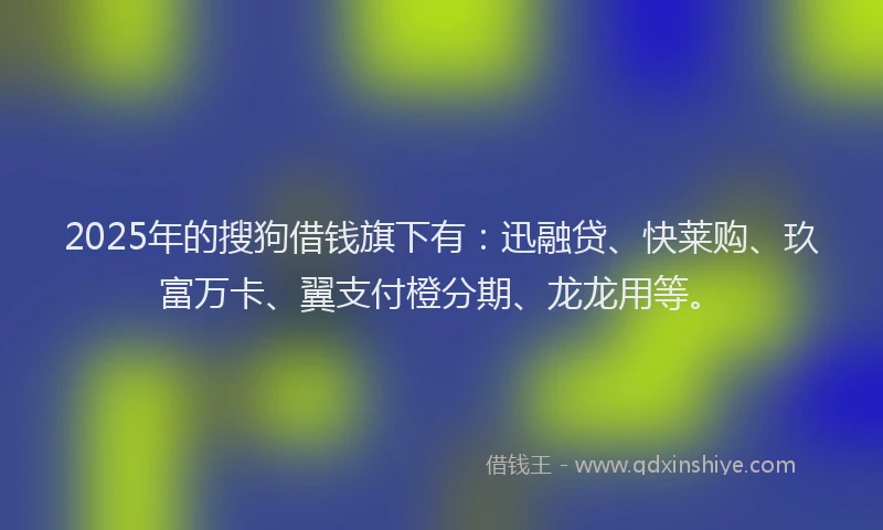 2025年的搜狗借钱旗下有：迅融贷、快莱购、玖富万卡、翼支付橙分期、龙龙用等。