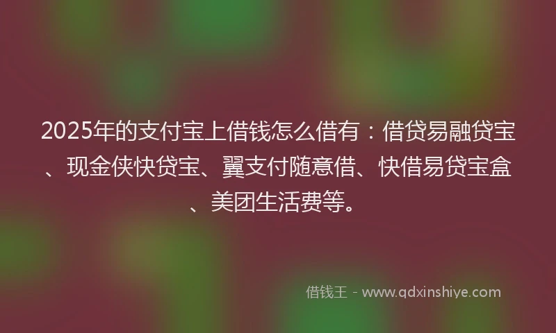2025年的支付宝上借钱怎么借有：借贷易融贷宝、现金侠快贷宝、翼支付随意借、快借易贷宝盒、美团生活费等。