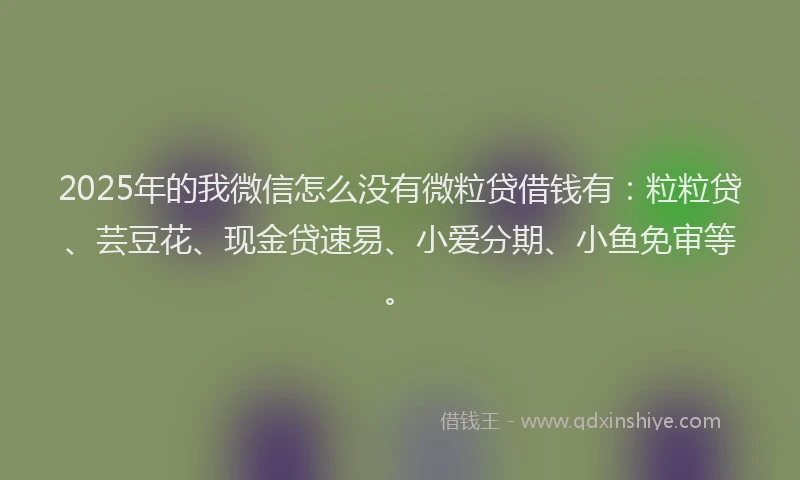 2025年的我微信怎么没有微粒贷借钱有：粒粒贷、芸豆花、现金贷速易、小爱分期、小鱼免审等。