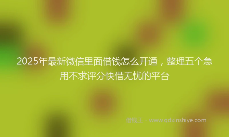 2025年最新微信里面借钱怎么开通，整理五个急用不求评分快借无忧的平台