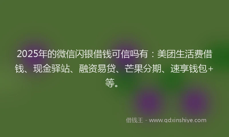 2025年的微信闪银借钱可信吗有：美团生活费借钱、现金驿站、融资易贷、芒果分期、速享钱包+等。