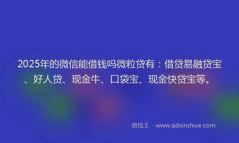 2025年的微信能借钱吗微粒贷有：借贷易融贷宝、好人贷、现金牛、口袋宝、现金快贷宝等。
