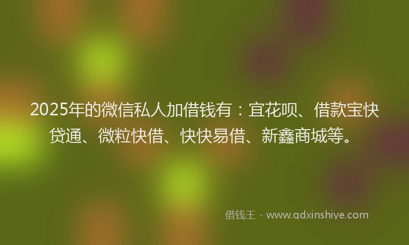 2025年的微信私人加借钱有：宜花呗、借款宝快贷通、微粒快借、快快易借、新鑫商城等。