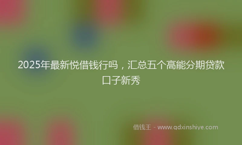 2025年最新悦借钱行吗，汇总五个高能分期贷款口子新秀
