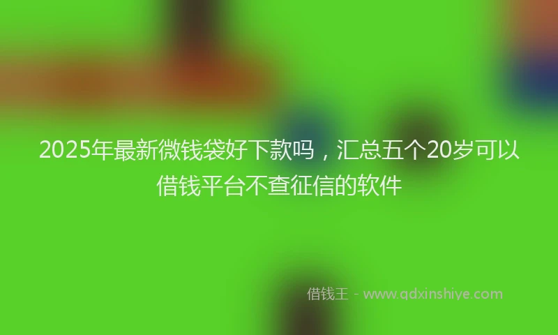 2025年最新微钱袋好下款吗，汇总五个20岁可以借钱平台不查征信的软件