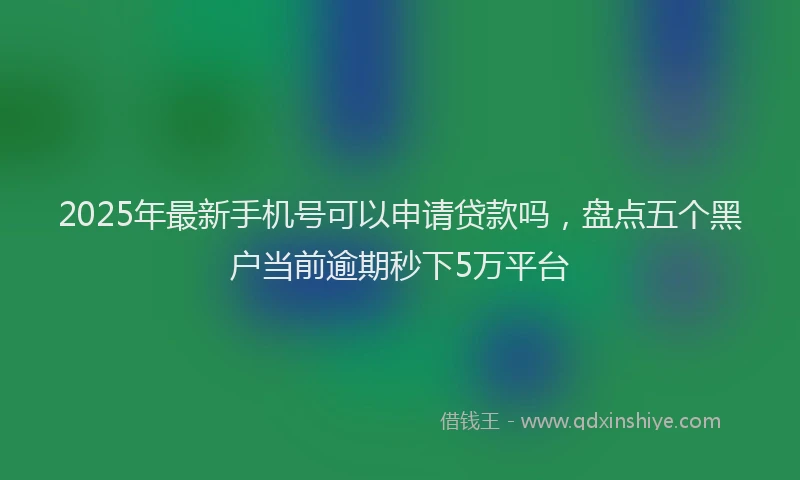 2025年最新手机号可以申请贷款吗，盘点五个黑户当前逾期秒下5万平台