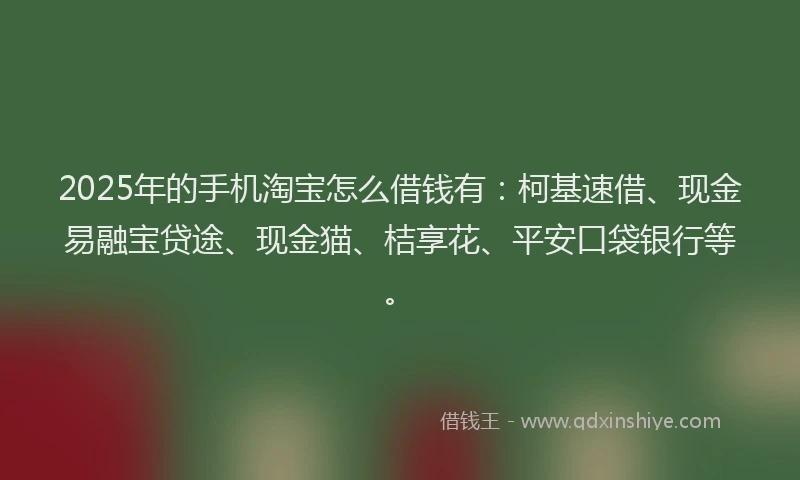2025年的手机淘宝怎么借钱有：柯基速借、现金易融宝贷途、现金猫、桔享花、平安口袋银行等。