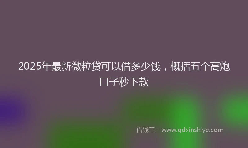 2025年最新微粒贷可以借多少钱，概括五个高炮口子秒下款