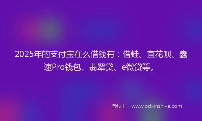 2025年的支付宝在么借钱有：借蛙、宜花呗、鑫速Pro钱包、翡翠贷、e微贷等。