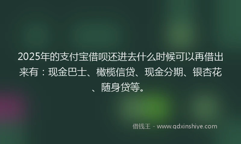 2025年的支付宝借呗还进去什么时候可以再借出来有：现金巴士、橄榄信贷、现金分期、银杏花、随身贷等。