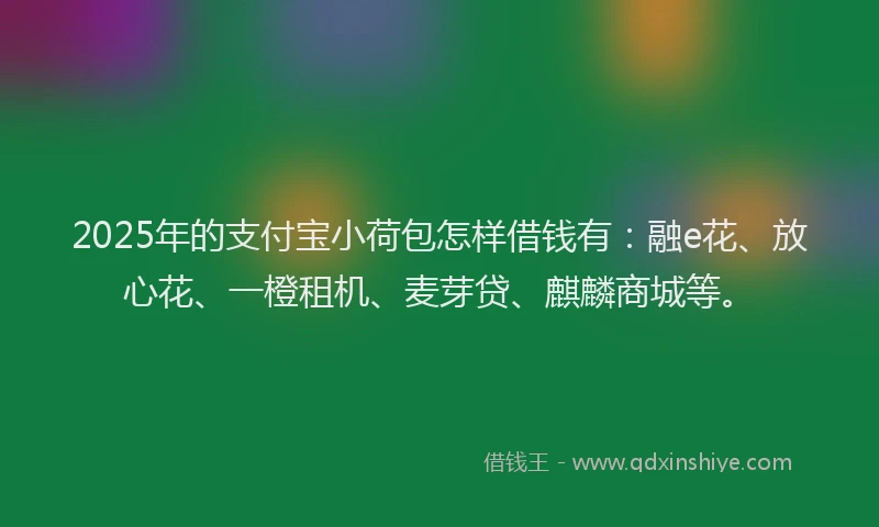 2025年的支付宝小荷包怎样借钱有：融e花、放心花、一橙租机、麦芽贷、麒麟商城等。