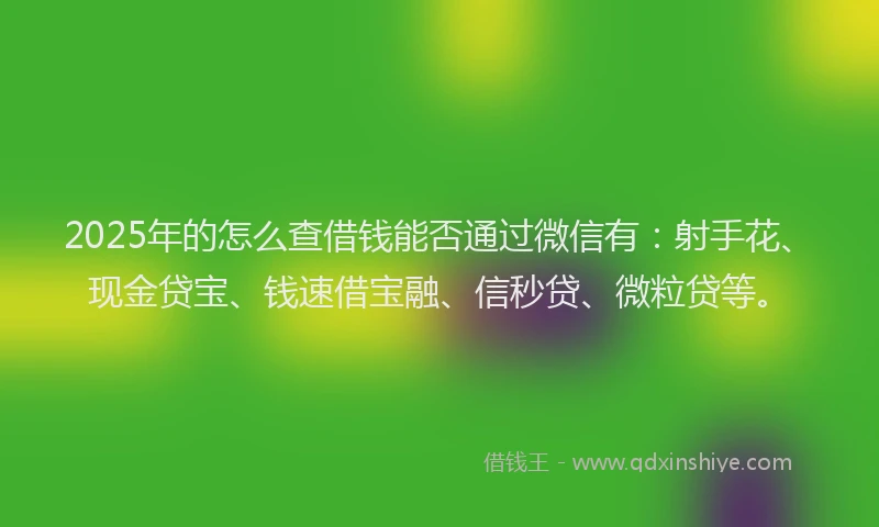 2025年的怎么查借钱能否通过微信有：射手花、现金贷宝、钱速借宝融、信秒贷、微粒贷等。