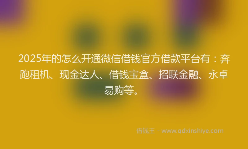 2025年的怎么开通微信借钱官方借款平台有：奔跑租机、现金达人、借钱宝盒、招联金融、永卓易购等。
