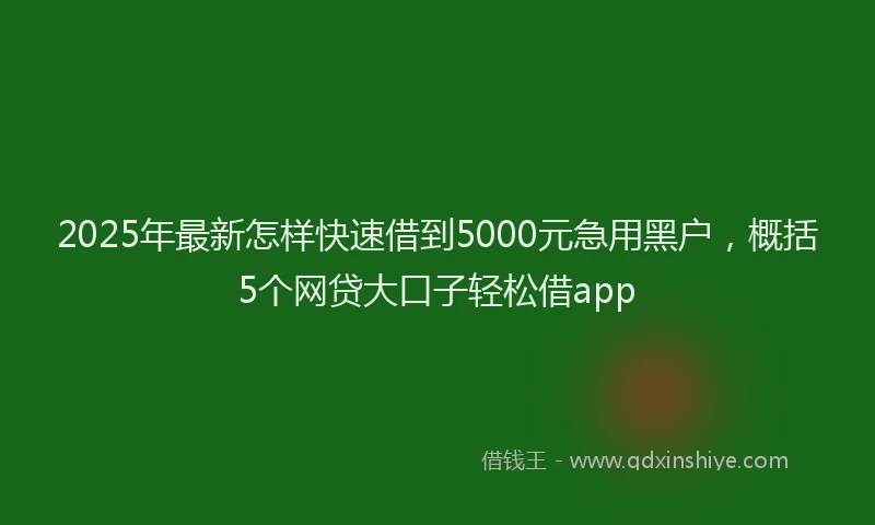 2025年最新怎样快速借到5000元急用黑户，概括5个网贷大口子轻松借app