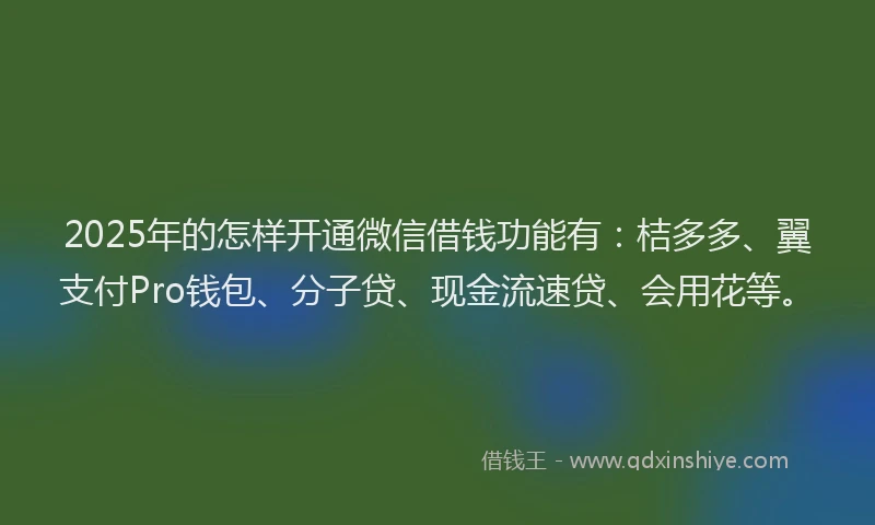 2025年的怎样开通微信借钱功能有：桔多多、翼支付Pro钱包、分子贷、现金流速贷、会用花等。