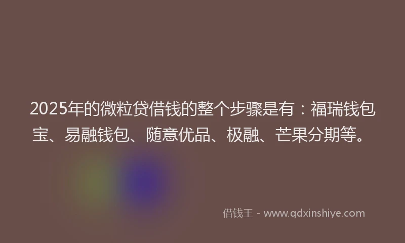 2025年的微粒贷借钱的整个步骤是有：福瑞钱包宝、易融钱包、随意优品、极融、芒果分期等。