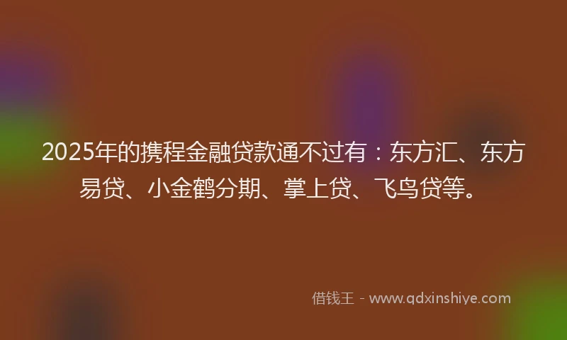 2025年的携程金融贷款通不过有：东方汇、东方易贷、小金鹤分期、掌上贷、飞鸟贷等。
