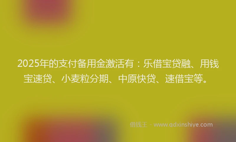 2025年的支付备用金激活有：乐借宝贷融、用钱宝速贷、小麦粒分期、中原快贷、速借宝等。
