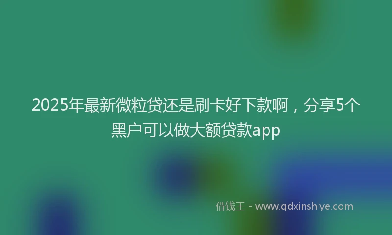 2025年最新微粒贷还是刷卡好下款啊，分享5个黑户可以做大额贷款app