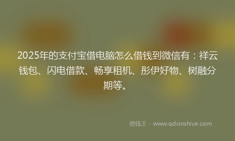 2025年的支付宝借电脑怎么借钱到微信有：祥云钱包、闪电借款、畅享租机、彤伊好物、树融分期等。