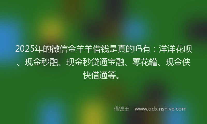 2025年的微信金羊羊借钱是真的吗有：洋洋花呗、现金秒融、现金秒贷通宝融、零花罐、现金侠快借通等。
