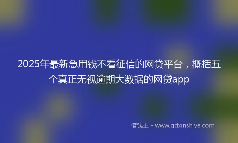 2025年最新急用钱不看征信的网贷平台，概括五个真正无视逾期大数据的网贷app