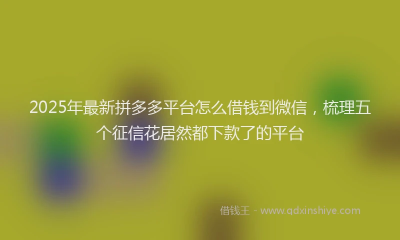 2025年最新拼多多平台怎么借钱到微信，梳理五个征信花居然都下款了的平台