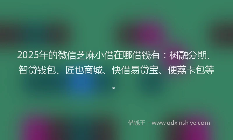 2025年的微信芝麻小借在哪借钱有：树融分期、智贷钱包、匠也商城、快借易贷宝、便荔卡包等。
